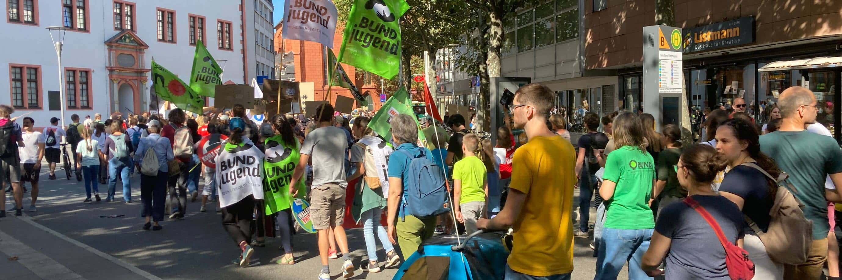 BUNDjugend bei Klimastreik