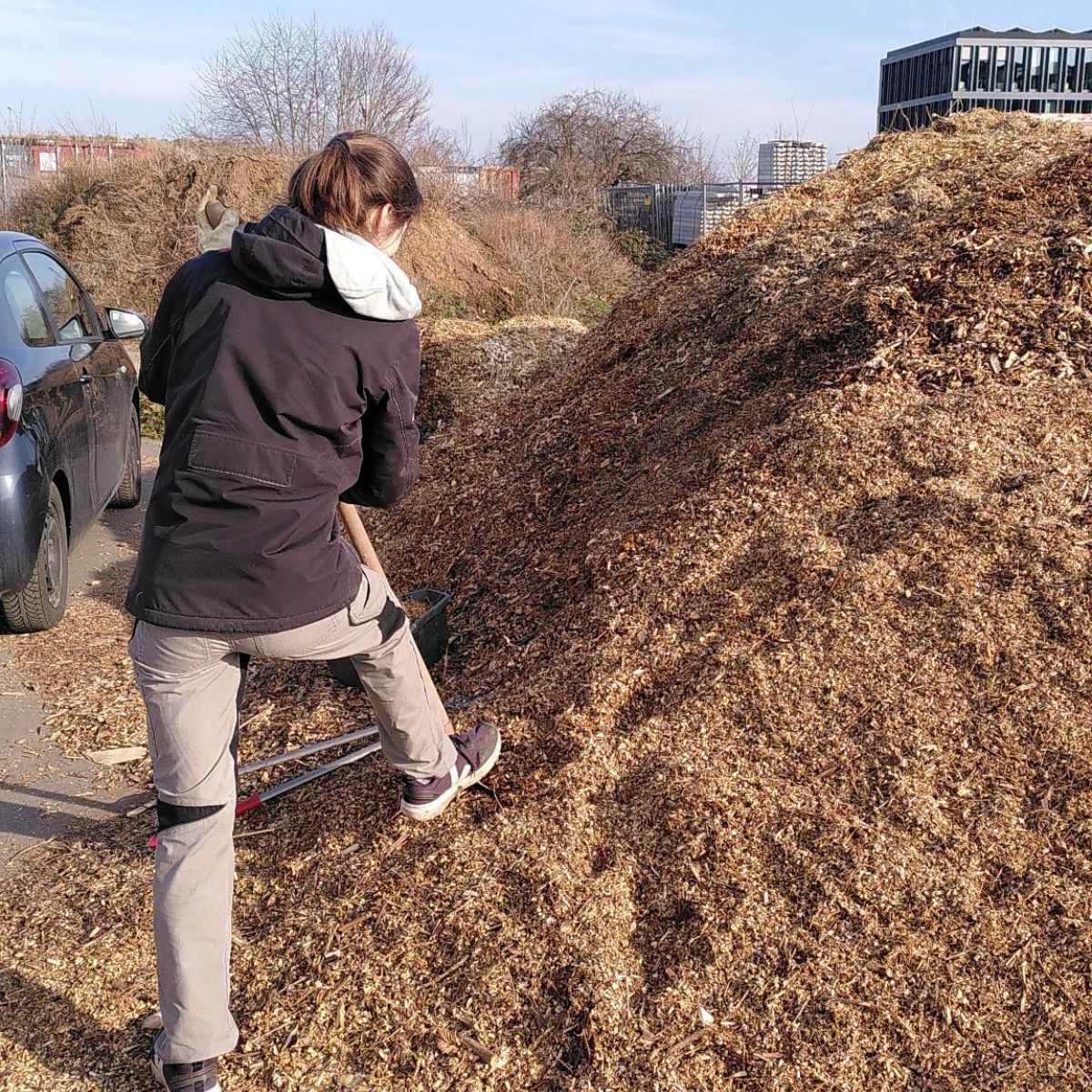 Füllung für Hochbeet einladen