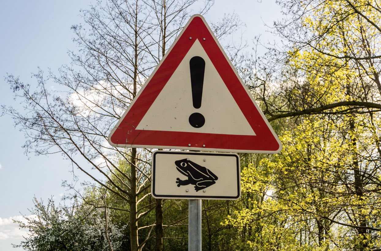 Warnschild Froschwanderung im Wald