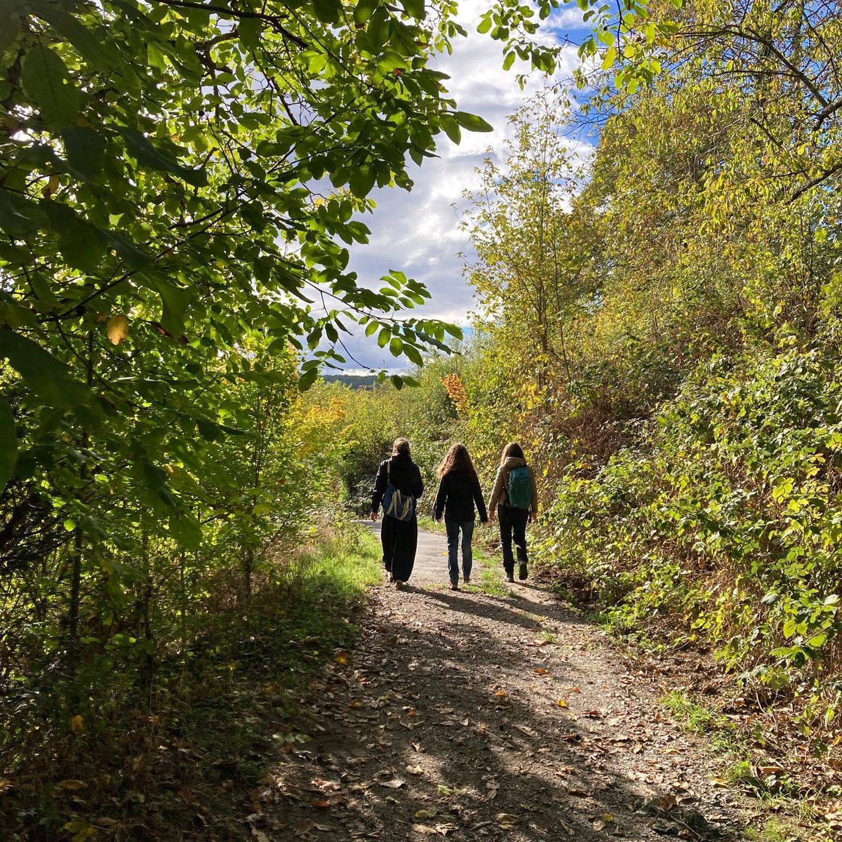 Foto bei Wanderung - 3 Menschen auf Schotterweg durch die Natur
