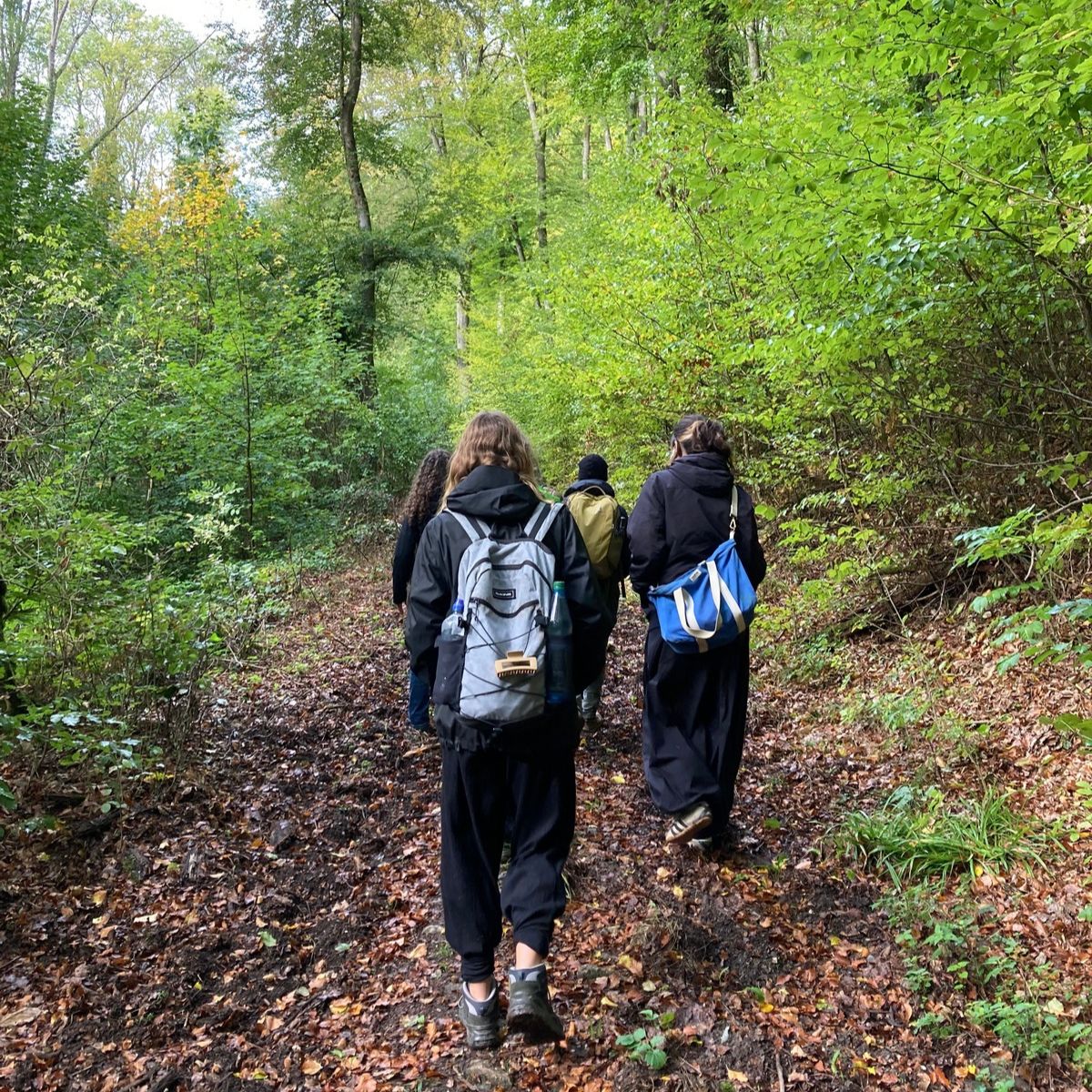vier Personen wandern steilen Weg im Wald