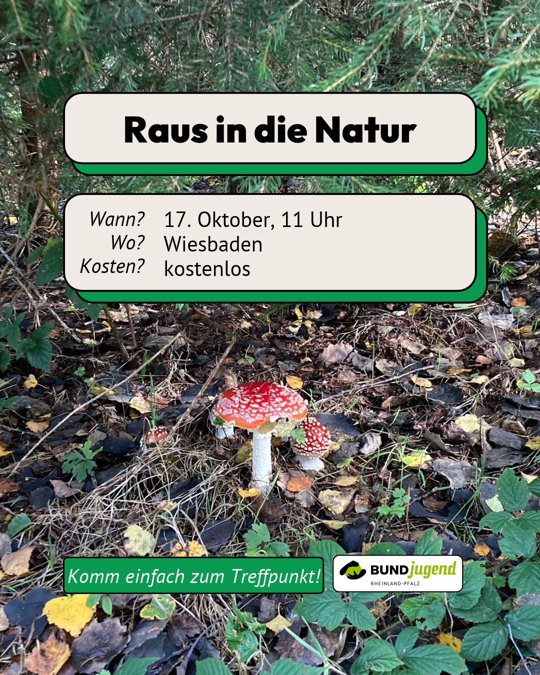 Am 17.10 geht die BUNDjugend Rheinland-Pfalz in Wiesbaden in die Natur - Terminankündigung mit Waldbild und Fliegenpilz
